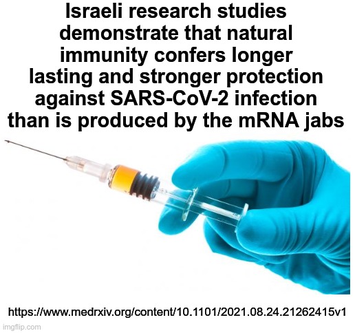 Israeli Studies - Natural Immunity verses Alleged "Vaccines" | Israeli research studies demonstrate that natural immunity confers longer lasting and stronger protection against SARS-CoV-2 infection than is produced by the mRNA jabs; https://www.medrxiv.org/content/10.1101/2021.08.24.21262415v1 | image tagged in blank white template,covid vaccine,natural immunity | made w/ Imgflip meme maker