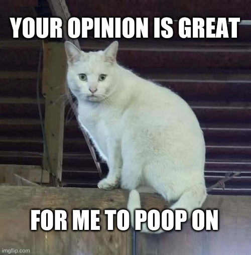 I Have To Poop Cat | YOUR OPINION IS GREAT; FOR ME TO POOP ON | image tagged in i have to poop cat,feta,opinion,what if i told you,poop,seems legit | made w/ Imgflip meme maker