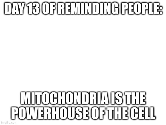 day 13 | DAY 13 OF REMINDING PEOPLE:; MITOCHONDRIA IS THE POWERHOUSE OF THE CELL | image tagged in blank white template | made w/ Imgflip meme maker