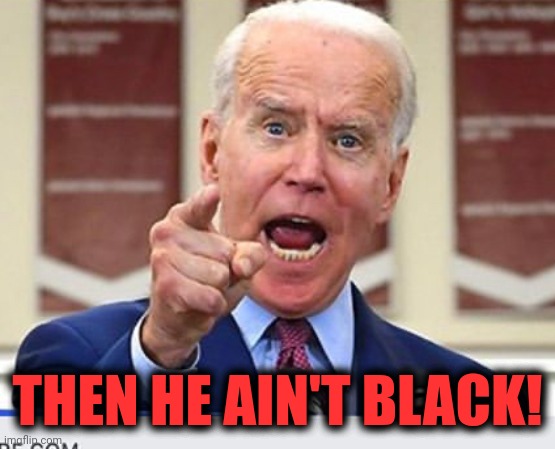 Joe Biden no malarkey | THEN HE AIN'T BLACK! | image tagged in joe biden no malarkey | made w/ Imgflip meme maker