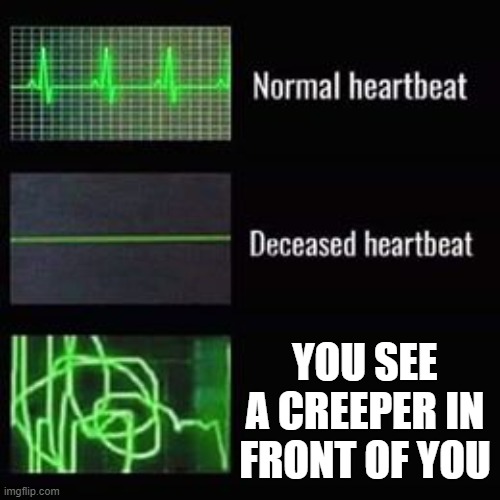 When you see a creeper | YOU SEE A CREEPER IN FRONT OF YOU | image tagged in heartbeat rate | made w/ Imgflip meme maker