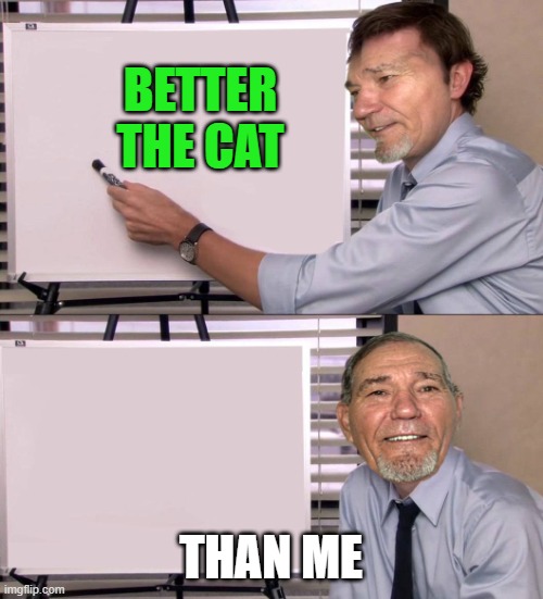 BETTER THE CAT THAN ME | image tagged in lew | made w/ Imgflip meme maker