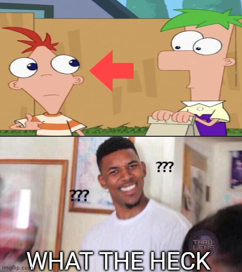 That extraordinary head... | WHAT THE HECK | image tagged in black guy confused,memes,phineas and ferb | made w/ Imgflip meme maker