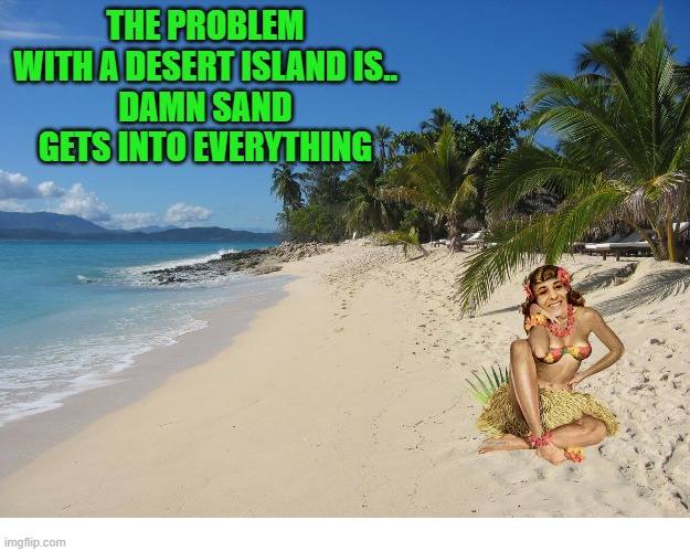 desert island | THE PROBLEM WITH A DESERT ISLAND IS..
DAMN SAND GETS INTO EVERYTHING | image tagged in sandy beach,island | made w/ Imgflip meme maker