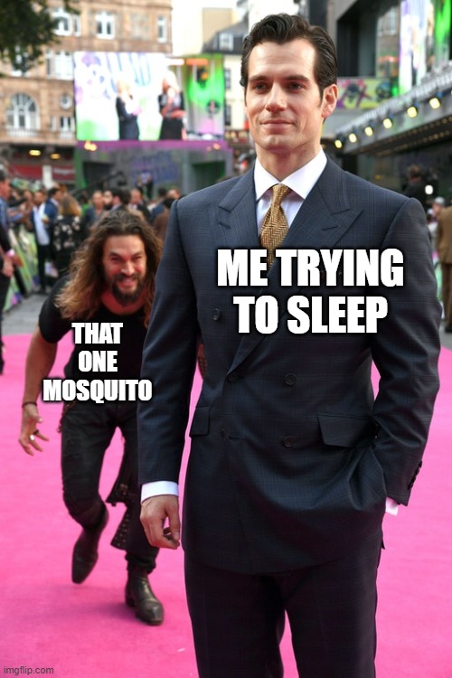 free epic wormwood | ME TRYING TO SLEEP; THAT ONE MOSQUITO | image tagged in jason momoa henry cavill meme | made w/ Imgflip meme maker