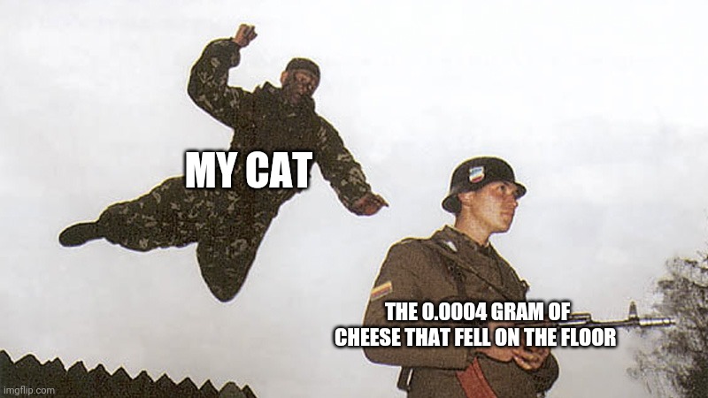 Soldier jump spetznaz | MY CAT; THE 0.0004 GRAM OF CHEESE THAT FELL ON THE FLOOR | image tagged in soldier jump spetznaz,cats | made w/ Imgflip meme maker