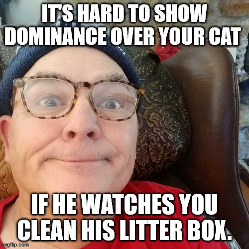 durl earl | IT'S HARD TO SHOW DOMINANCE OVER YOUR CAT; IF HE WATCHES YOU CLEAN HIS LITTER BOX. | image tagged in durl earl | made w/ Imgflip meme maker