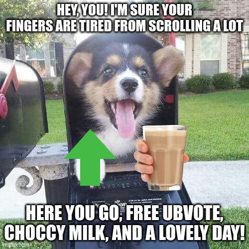 Please have a lovely day! | HEY, YOU! I'M SURE YOUR FINGERS ARE TIRED FROM SCROLLING A LOT; HERE YOU GO, FREE UBVOTE, CHOCCY MILK, AND A LOVELY DAY! | image tagged in memes,cute dog in mailbox,upvote,choccy milk | made w/ Imgflip meme maker