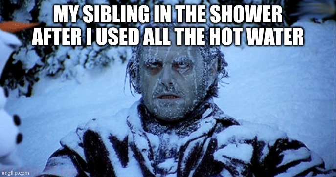 Freezing cold | MY SIBLING IN THE SHOWER AFTER I USED ALL THE HOT WATER | image tagged in freezing cold | made w/ Imgflip meme maker