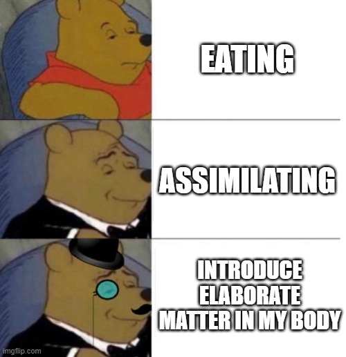 Tuxedo Winnie the Pooh (3 panel) | EATING; ASSIMILATING; INTRODUCE ELABORATE MATTER IN MY BODY | image tagged in tuxedo winnie the pooh 3 panel | made w/ Imgflip meme maker