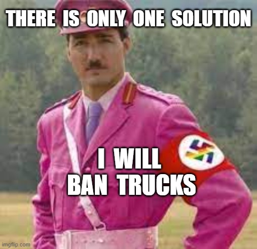 THERE  IS  ONLY  ONE  SOLUTION; I  WILL  BAN  TRUCKS | image tagged in justin trudeau,canadian truckers,freedom rally,truckers,plandemic,soy boy | made w/ Imgflip meme maker