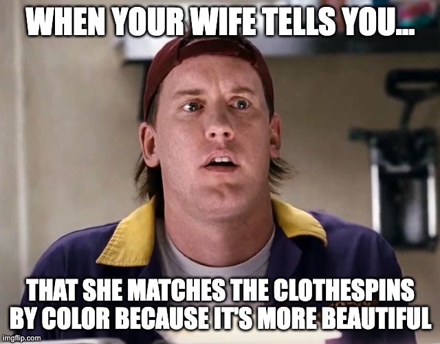 When your wife tells you | WHEN YOUR WIFE TELLS YOU…; THAT SHE MATCHES THE CLOTHESPINS BY COLOR BECAUSE IT'S MORE BEAUTIFUL | image tagged in when your wife tells you | made w/ Imgflip meme maker