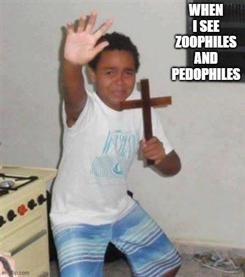 oH oH sO sCaRy | WHEN I SEE ZOOPHILES AND PEDOPHILES | image tagged in scared kid | made w/ Imgflip meme maker