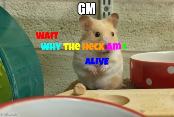 GM | image tagged in why the heck am i alive | made w/ Imgflip meme maker