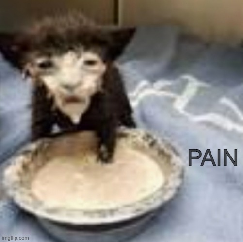 pain | PAIN | image tagged in memes,unfunny,pain | made w/ Imgflip meme maker