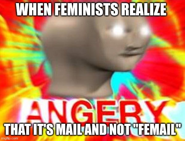 Surreal Angery | WHEN FEMINISTS REALIZE; THAT IT'S MAIL AND NOT "FEMAIL" | image tagged in surreal angery | made w/ Imgflip meme maker