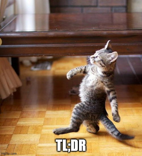 Cat Walking Like A Boss | TL;DR | image tagged in cat walking like a boss | made w/ Imgflip meme maker