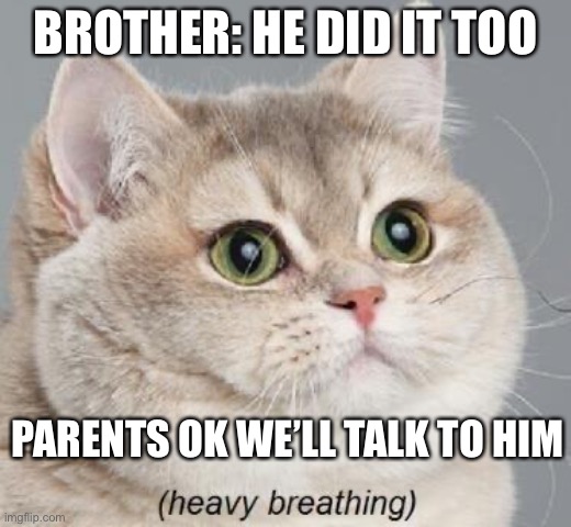 Oh no no no no no | BROTHER: HE DID IT TOO; PARENTS OK WE’LL TALK TO HIM | image tagged in memes,heavy breathing cat | made w/ Imgflip meme maker