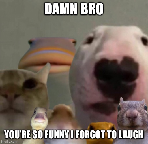 The council remastered | DAMN BRO YOU’RE SO FUNNY I FORGOT TO LAUGH | image tagged in the council remastered | made w/ Imgflip meme maker