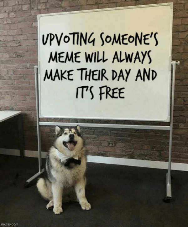 Good advice dog | image tagged in who_am_i | made w/ Imgflip meme maker