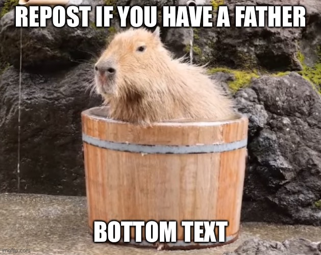 REPOST IF YOU HAVE A FATHER; BOTTOM TEXT | image tagged in capybara taking a bath | made w/ Imgflip meme maker