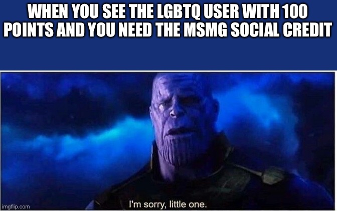 Rip | WHEN YOU SEE THE LGBTQ USER WITH 100 POINTS AND YOU NEED THE MSMG SOCIAL CREDIT | image tagged in thanos i'm sorry little one | made w/ Imgflip meme maker