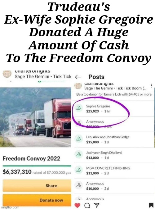 Trudeau's Ex-Wife Sophie Gregoire | Trudeau's Ex-Wife Sophie Gregoire Donated A Huge Amount Of Cash To The Freedom Convoy | image tagged in trudeau,ex wife,donation,freedom,trucker | made w/ Imgflip meme maker