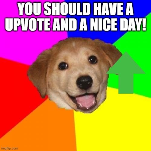 Advice Dog Meme | YOU SHOULD HAVE A UPVOTE AND A NICE DAY! | image tagged in memes,advice dog | made w/ Imgflip meme maker