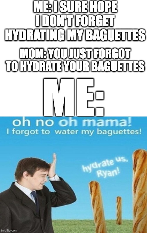 Mom Hydrate my baguettes please I need to stop forgetting to | ME: I SURE HOPE I DON'T FORGET HYDRATING MY BAGUETTES; MOM: YOU JUST FORGOT TO HYDRATE YOUR BAGUETTES; ME: | image tagged in hydrate us ryan 1 | made w/ Imgflip meme maker