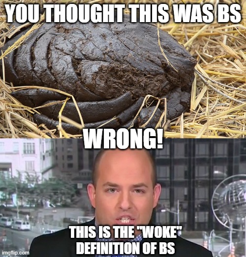 BS | YOU THOUGHT THIS WAS BS; WRONG! THIS IS THE "WOKE"
DEFINITION OF BS | image tagged in bs | made w/ Imgflip meme maker