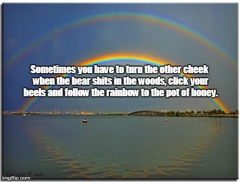 Double Rainbow | Sometimes you have to turn the other cheek when the bear shits in the woods, click your heels and follow the rainbow to the pot of honey. | image tagged in double rainbow | made w/ Imgflip meme maker