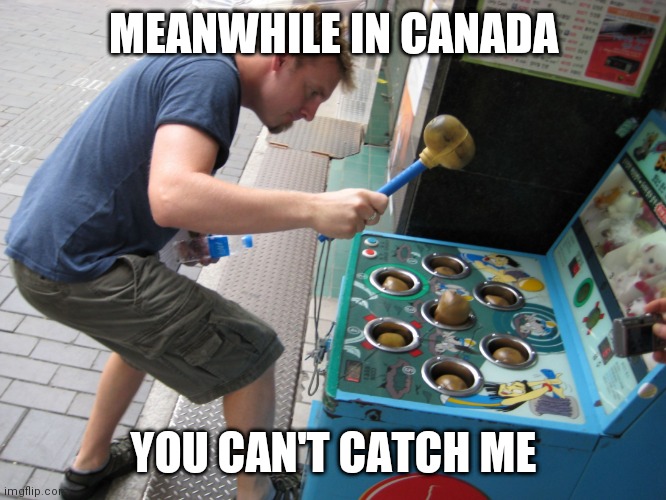 Whack a Mole | MEANWHILE IN CANADA; YOU CAN'T CATCH ME | image tagged in whack a mole | made w/ Imgflip meme maker