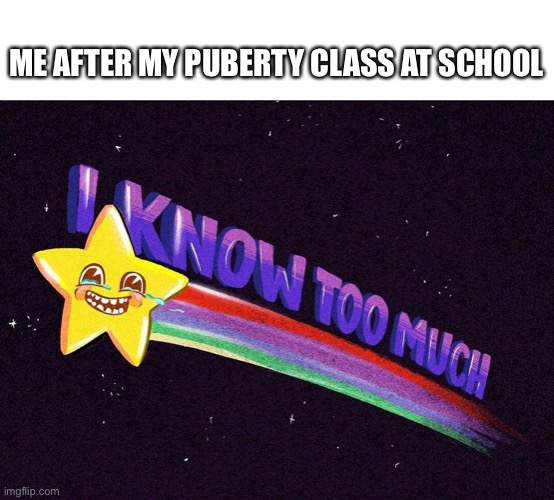 I have nothing to say about this meme | ME AFTER MY PUBERTY CLASS AT SCHOOL | image tagged in i know too much,memes,puberty | made w/ Imgflip meme maker