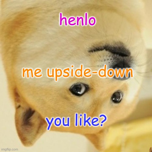 ∩dsıpǝ poʍu poƃǝ | henlo; me upside-down; you like? | image tagged in memes,doge | made w/ Imgflip meme maker