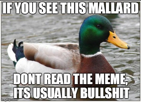 Actual Advice Mallard Meme | IF YOU SEE THIS MALLARD DONT READ THE MEME, ITS USUALLY BULLSHIT | image tagged in memes,actual advice mallard,AdviceAnimals | made w/ Imgflip meme maker