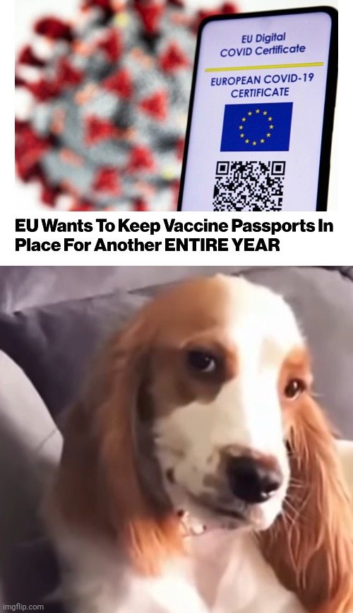 image tagged in funny memes | made w/ Imgflip meme maker