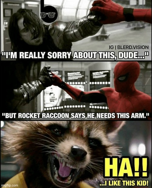 i’m gonna get that arm | image tagged in marvel,rocket,funny | made w/ Imgflip meme maker