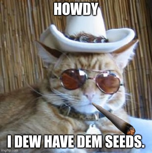 Howdy | HOWDY I DEW HAVE DEM SEEDS. | image tagged in howdy | made w/ Imgflip meme maker