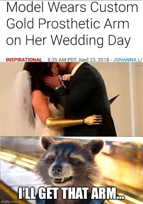 LOL | I’LL GET THAT ARM… | image tagged in rocket,arm,model,wedding | made w/ Imgflip meme maker