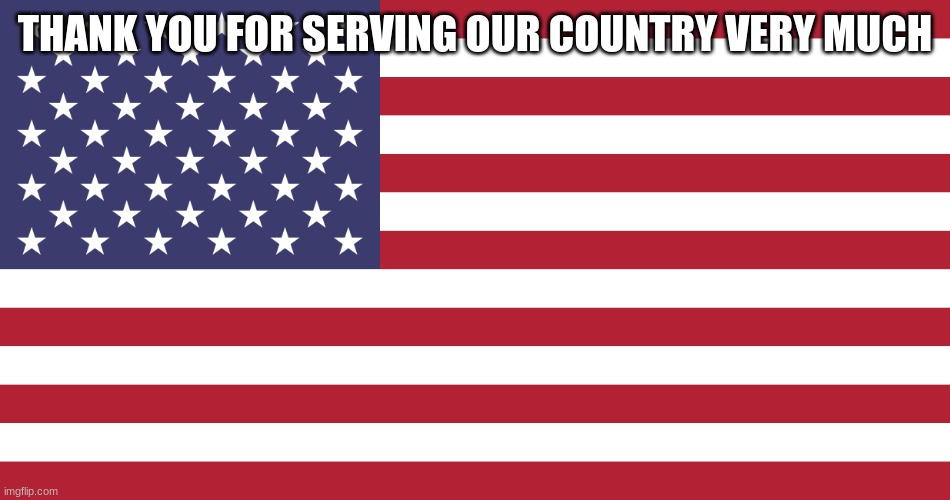 Flag of USA | THANK YOU FOR SERVING OUR COUNTRY VERY MUCH | image tagged in flag of usa | made w/ Imgflip meme maker