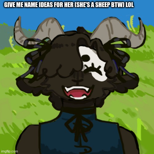 E | GIVE ME NAME IDEAS FOR HER (SHE'S A SHEEP BTW) LOL | image tagged in black sheep,fluffy | made w/ Imgflip meme maker