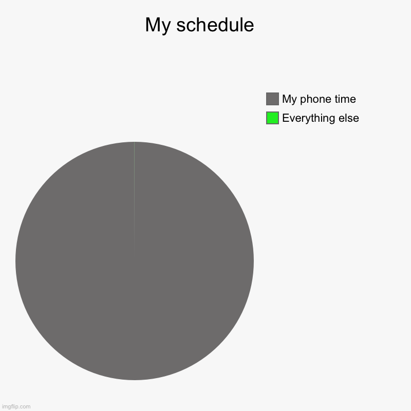My schedule  | Everything else , My phone time | image tagged in charts,pie charts | made w/ Imgflip chart maker