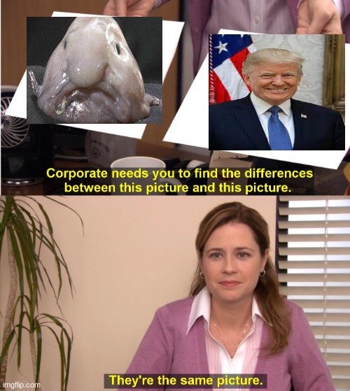 They're The Same Picture | image tagged in memes,they're the same picture | made w/ Imgflip meme maker