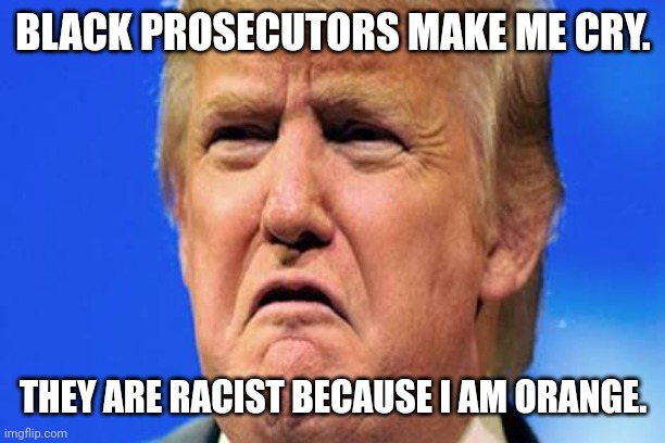 TempertanTrump | BLACK PROSECUTORS MAKE ME CRY. THEY ARE RACIST BECAUSE I AM ORANGE. | image tagged in trump,trump supporter,conservative,republican,democrat,liberal | made w/ Imgflip meme maker