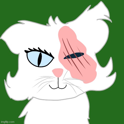 I drew Brightheart from Warriors | made w/ Imgflip meme maker