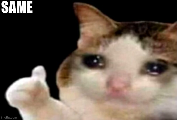 Sad cat thumbs up | SAME | image tagged in sad cat thumbs up | made w/ Imgflip meme maker