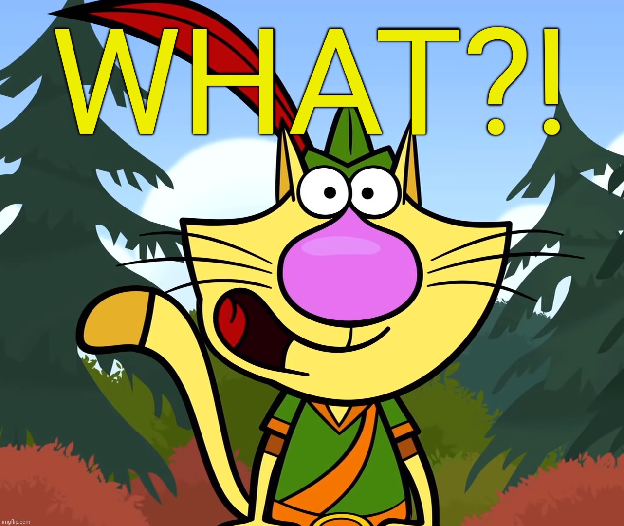 No Way!! (Nature Cat) | WHAT?! | image tagged in no way nature cat | made w/ Imgflip meme maker
