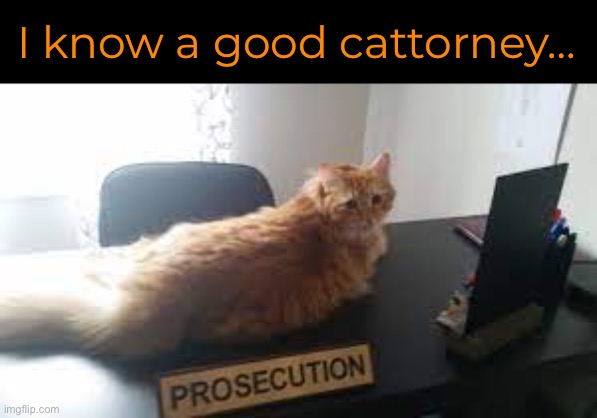 I know a good cattorney… | made w/ Imgflip meme maker