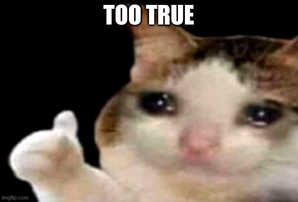 Sad cat thumbs up | TOO TRUE | image tagged in sad cat thumbs up | made w/ Imgflip meme maker