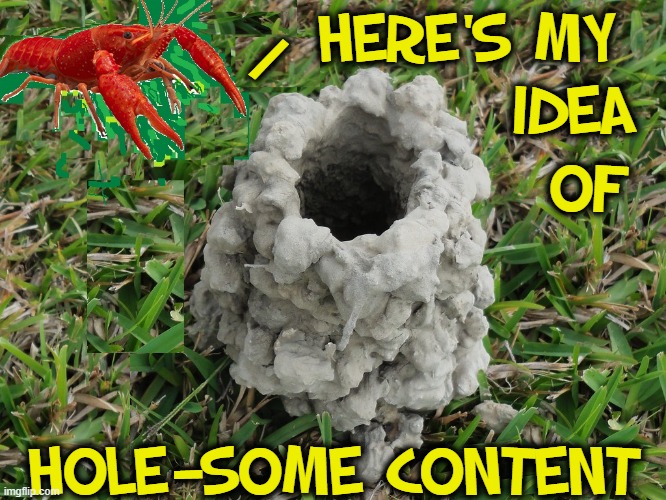 Hey, nice hole, Crusti | HERE'S MY
           IDEA; /; OF; HOLE—SOME CONTENT | image tagged in vince vance,crawfish,hole,crawdad,wholesome content,memes | made w/ Imgflip meme maker
